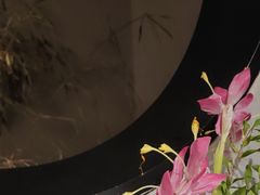 -江南雅厨(李公堤店)