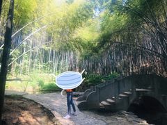 -石塘人家