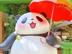 -轩客会(熊猫书店)