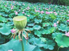 -东坡赤壁风景名胜区