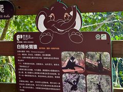 -野象谷景区