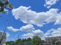 -风波庄(罍街分舵)