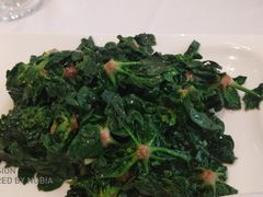 清炒崇明矮脚菠菜-道道鲜·崇明私房菜(五角场店)