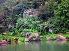 景点-莲峰云海景区