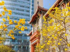 -四川大学(华西校区)