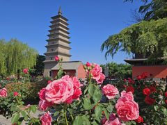 -正定古城-开元寺