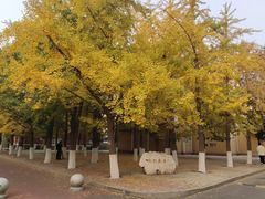 -辽宁大学(崇山校区)
