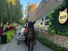 -J Create城市露营咖啡·简餐·宠物(上海动物园店)