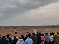 -盐城丹顶鹤湿地生态旅游区