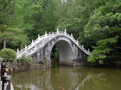 -深圳仙湖植物园