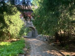 -云岗森林公园