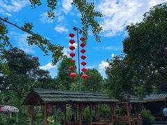 -青城甲(青城山店)