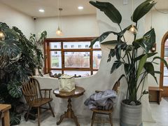 -AHAVA·Fang Baking Studio