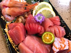 蓝鳍金枪鱼大腩刺身-达摩君日本料理(泰海花园小区店)