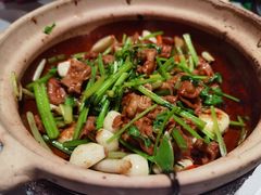 啫啫肥肠-煲煲好(朝阳门店)