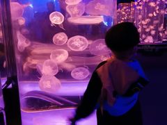 -成都浩海立方海洋公园