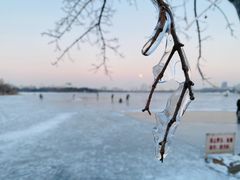 -长春市南湖公园