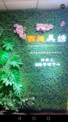 -西施无菌半永久纹绣眉眼影唇轻增发纹发际线