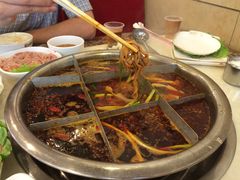 -朱氏胖子烂火锅(洪崖洞店)