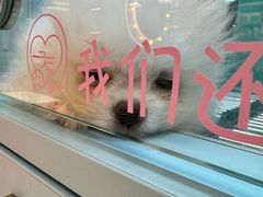 -FAELING PETS美天灵宠物(合生汇店)
