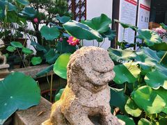 -上海醉白池公园