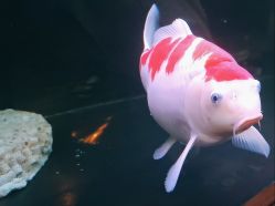 -青木造型HAIR·あおき髪を刈る潮人店