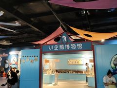 -海合安武汉极地海洋公园