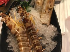 -鲜入围煮花胶鸡海鲜火锅