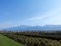 -王顺山国家森林公园