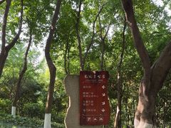 -龙头寺公园