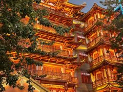 -大佛寺高级素食自助餐厅