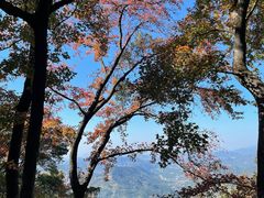 -广州市石门国家森林公园