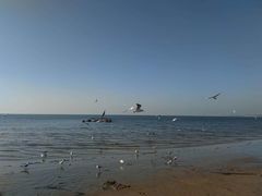 -老虎石海上公园