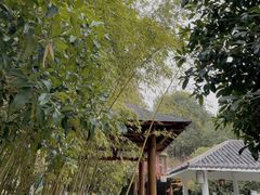 -深业半汤御泉庄温泉