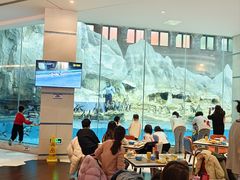 -帝企鹅自助餐厅•儿童岛•真企鹅(长隆企鹅酒店)