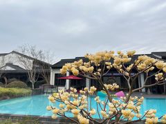 -雅达·阳羡溪山小镇中心