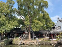 -上海醉白池公园