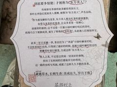 -茶颜悦色(岳麓山顶店)