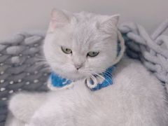 -怪兽屋·羊驼·猫咖·狗咖(俊华广场店)