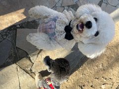 -七仙岭温泉国家森林公园