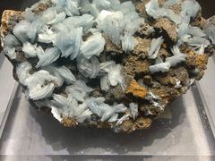 -湖南省地质博物馆