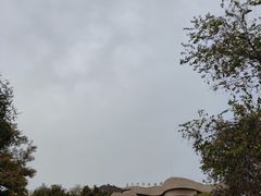 -府君山公园
