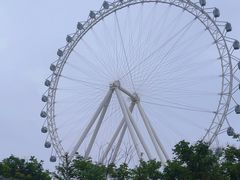 -日照海滨国家森林公园