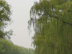 -皇家御河游(紫御湾码头)