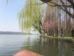 -西湖外事游船(花港观鱼码头)