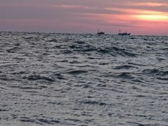 -贝壳沙滩