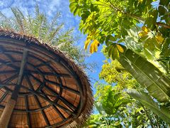 -碧桂园润杨溪谷温泉酒店