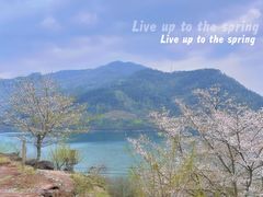 -溪口-滕头旅游景区