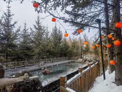 -汉拿山温泉度假酒店