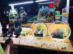 -中环花鸟鱼虫市场